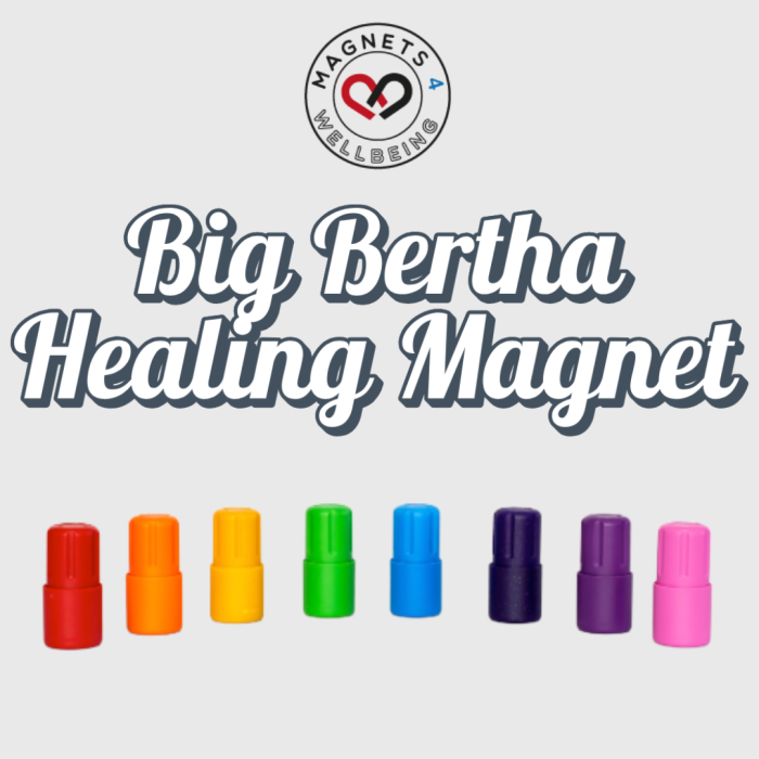 Image of the Big Bertha Magnets